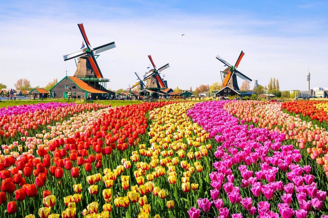 10 fun facts about Holland